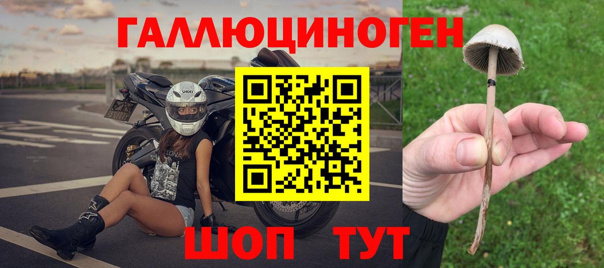 Саянск  Псилоцибиновые грибы ЛСД  Галлюциногенные грибы Psilocybe  Вход с VPN 